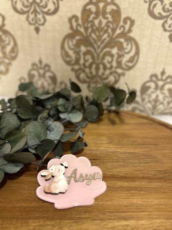 Şeffaf Pleksi Magnet