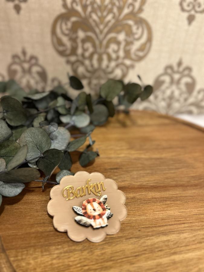 Şeffaf Pleksi Magnet