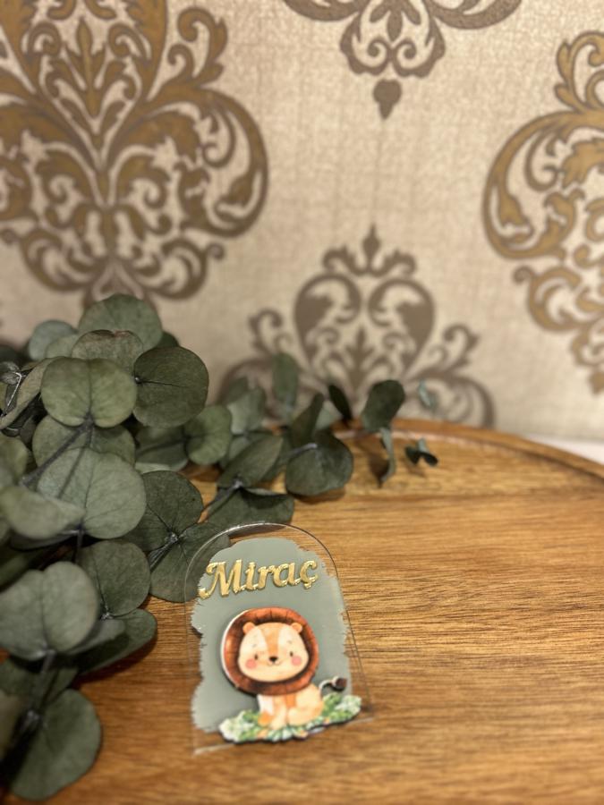 Şeffaf Pleksi Magnet