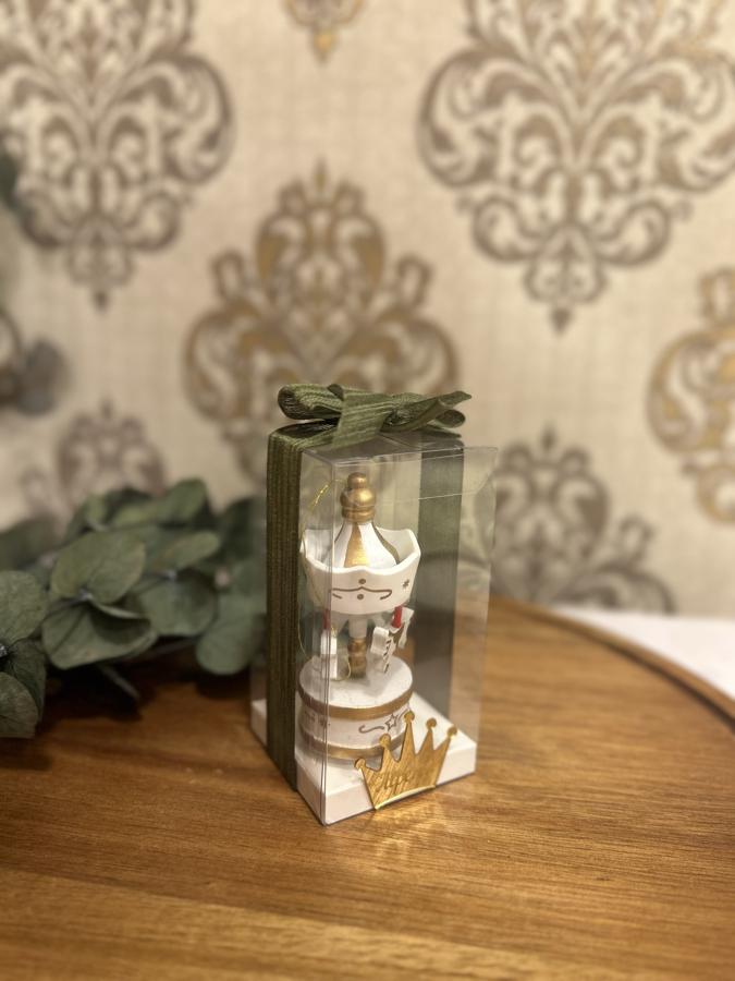 Kutuda Atlı Karınca