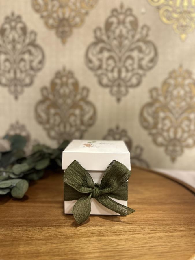 Kutuda Atlı Karınca ve Magnet