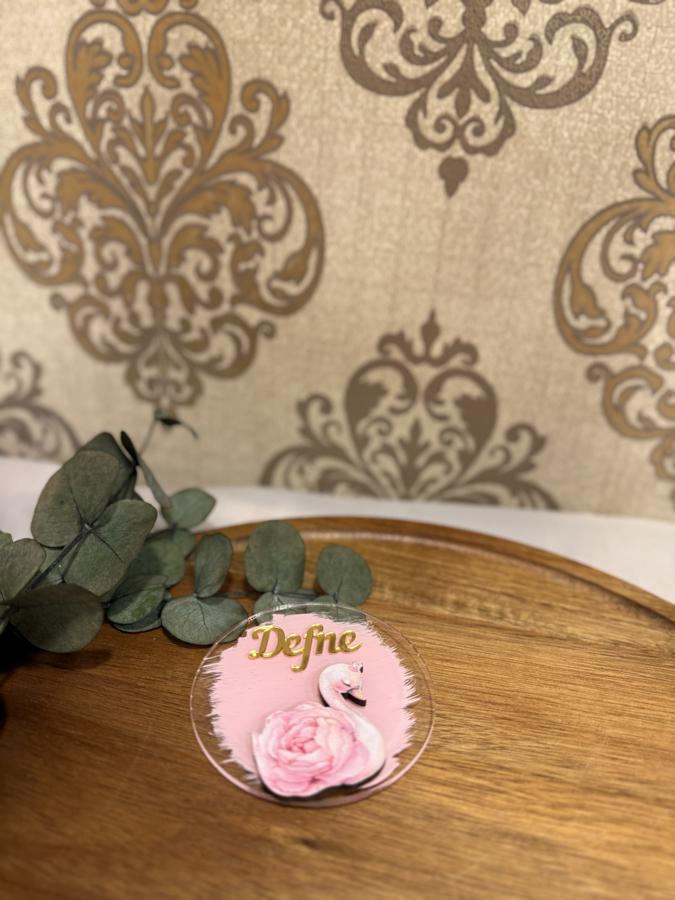 Şeffaf Pleksi Magnet