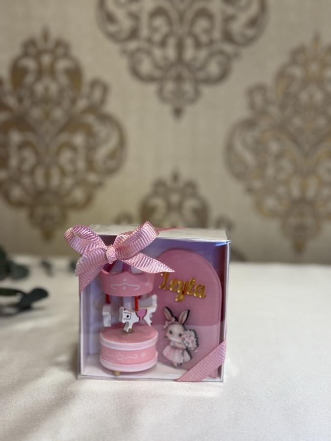 Kutuda Atlı Karınca ve Magnet